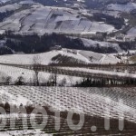 Langhe-inverno